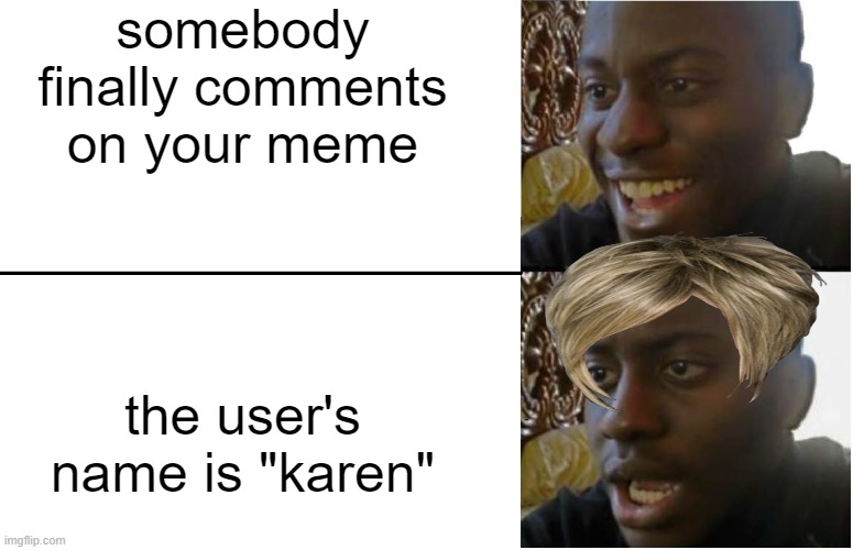 Disappointed Black Guy |  somebody finally comments on your meme; the user's name is "karen" | image tagged in disappointed black guy | made w/ Imgflip meme maker