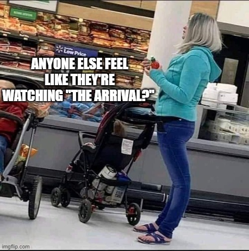 The Arrival | ANYONE ELSE FEEL LIKE THEY'RE WATCHING "THE ARRIVAL?" | image tagged in aliens | made w/ Imgflip meme maker