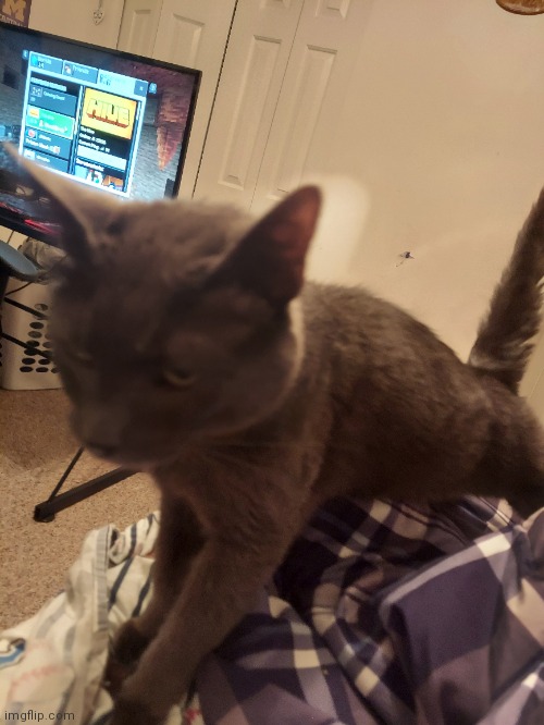 Don't mind me playing mc in the background lol | made w/ Imgflip meme maker