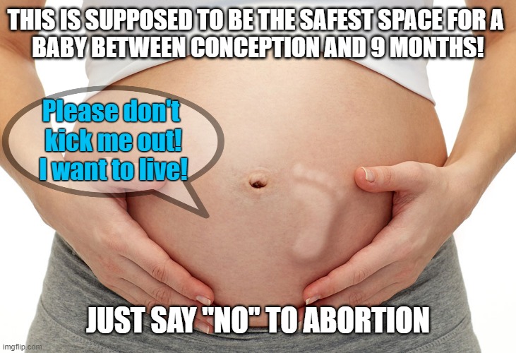 baby kick in womb | THIS IS SUPPOSED TO BE THE SAFEST SPACE FOR A 
BABY BETWEEN CONCEPTION AND 9 MONTHS! Please don't 
kick me out!
I want to live! JUST SAY "NO" TO ABORTION | image tagged in baby kick in womb,abortion,safe space,just say no,baby,kicking | made w/ Imgflip meme maker