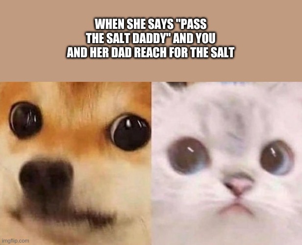 O h n o | WHEN SHE SAYS "PASS THE SALT DADDY" AND YOU AND HER DAD REACH FOR THE SALT | image tagged in scared cat and scared dog | made w/ Imgflip meme maker