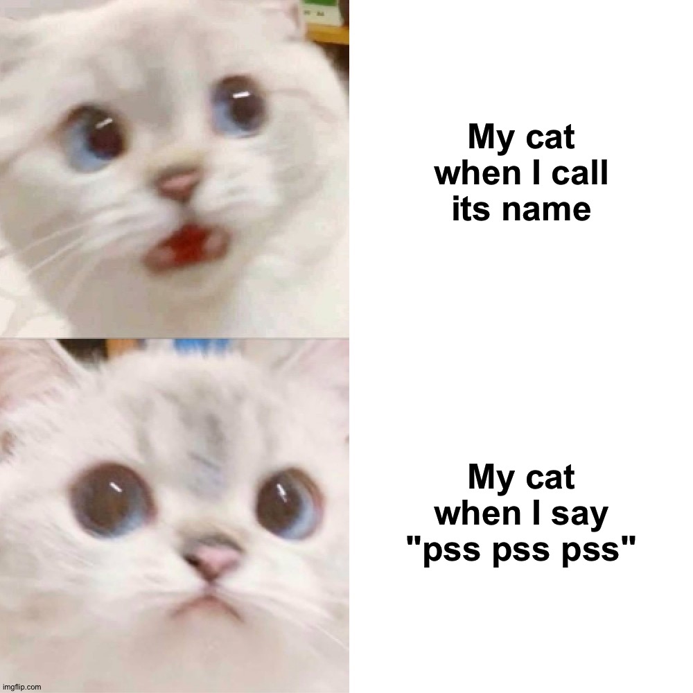PANIK - CALM cat | My cat when I call its name; My cat when I say "pss pss pss" | image tagged in panik - calm cat | made w/ Imgflip meme maker