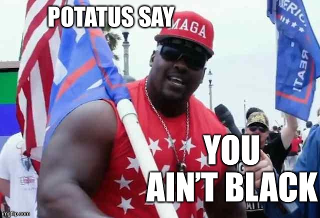 You Ain’t Black | POTATUS SAY; YOU AIN’T BLACK | image tagged in you ain t black | made w/ Imgflip meme maker