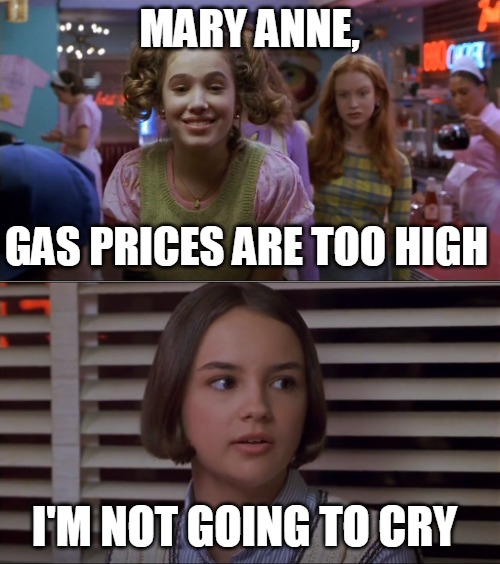 Cokie Talks to Mary Anne | MARY ANNE, GAS PRICES ARE TOO HIGH; I'M NOT GOING TO CRY | image tagged in cokie talks to mary anne,memes,gas,gas prices | made w/ Imgflip meme maker