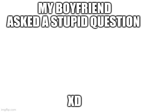 Blank White Template | MY BOYFRIEND ASKED A STUPID QUESTION; XD | image tagged in blank white template | made w/ Imgflip meme maker