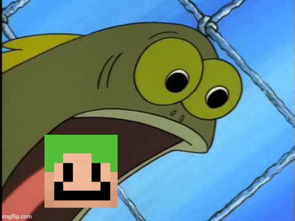 You what?! | image tagged in you what | made w/ Imgflip meme maker