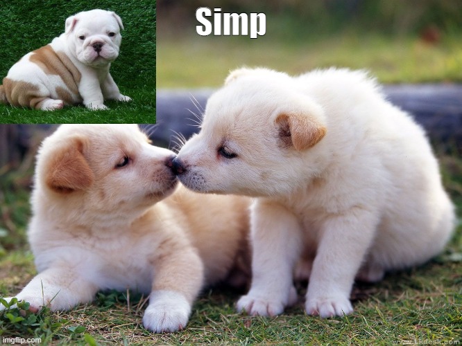 Simp | made w/ Imgflip meme maker
