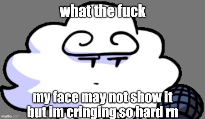 what the fuck my face may not show it but im cringing so hard rn | made w/ Imgflip meme maker