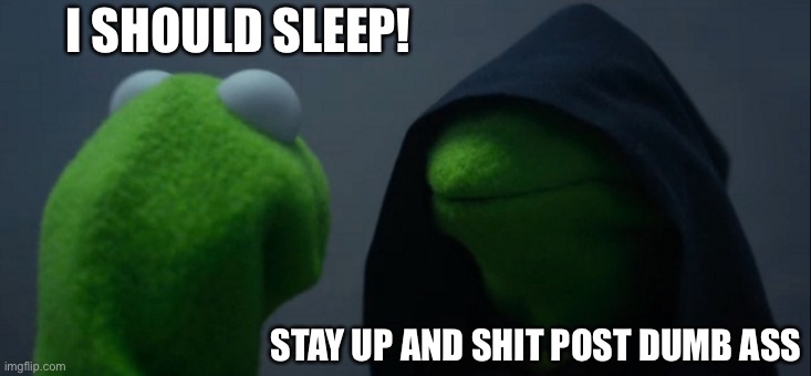 ;—; | I SHOULD SLEEP! STAY UP AND SHIT POST DUMB ASS | image tagged in memes,evil kermit | made w/ Imgflip meme maker