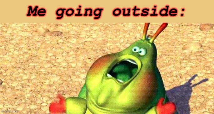 tHe rAyYsZz! | Me going outside: | image tagged in me when i see a insect in my room | made w/ Imgflip meme maker