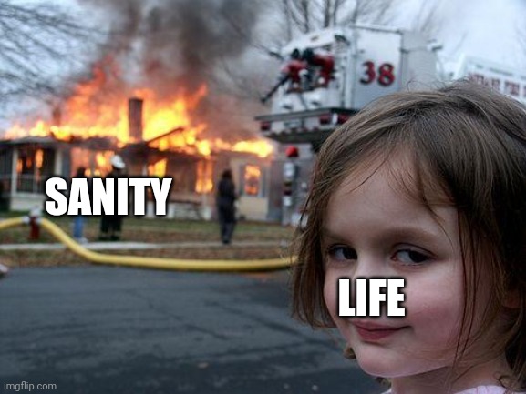 Disaster Girl Meme | SANITY; LIFE | image tagged in memes,disaster girl | made w/ Imgflip meme maker