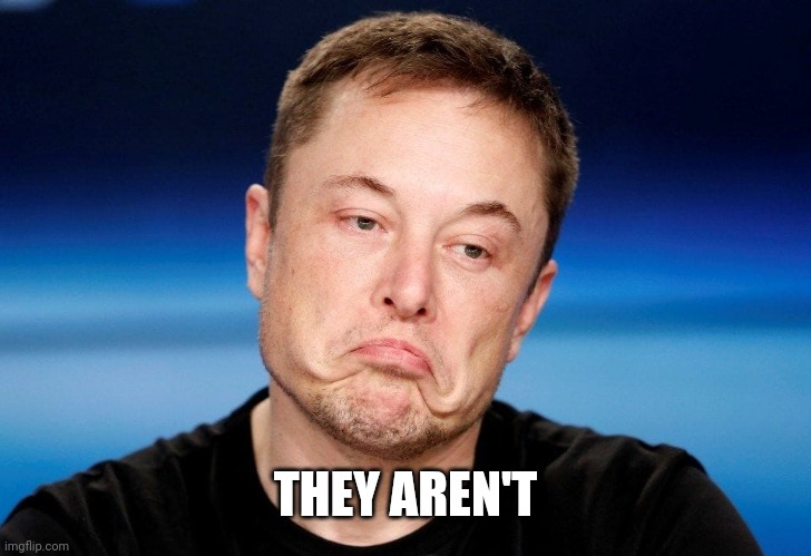 Sad Elon | THEY AREN'T | image tagged in sad elon | made w/ Imgflip meme maker