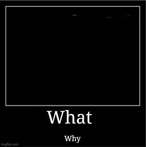 Demotivational poster | What Why | image tagged in demotivational poster | made w/ Imgflip meme maker