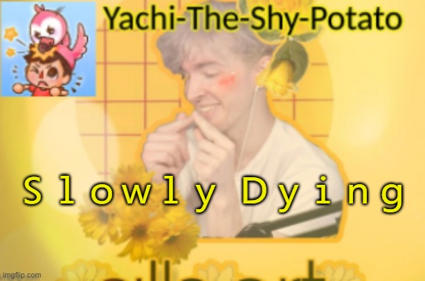 Yachi's temp | Ｓｌｏｗｌｙ Ｄｙｉｎｇ | image tagged in yachi's temp | made w/ Imgflip meme maker