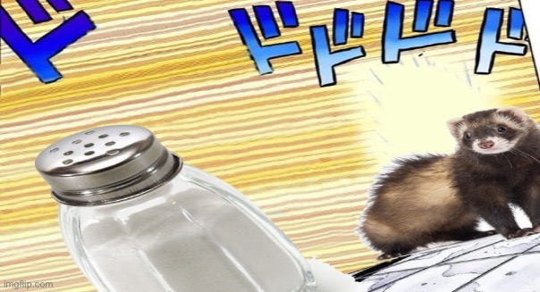 Salt versus ferret | image tagged in salt versus ferret | made w/ Imgflip meme maker