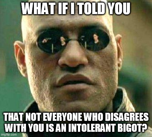 A question everone should be asked | WHAT IF I TOLD YOU; THAT NOT EVERYONE WHO DISAGREES WITH YOU IS AN INTOLERANT BIGOT? | image tagged in what if i told you | made w/ Imgflip meme maker