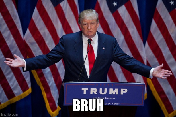 Donald Trump | BRUH | image tagged in donald trump | made w/ Imgflip meme maker