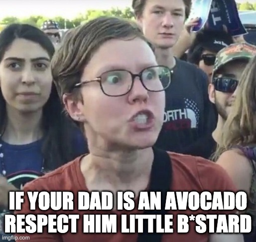 Triggered feminist | IF YOUR DAD IS AN AVOCADO RESPECT HIM LITTLE B*STARD | image tagged in triggered feminist | made w/ Imgflip meme maker