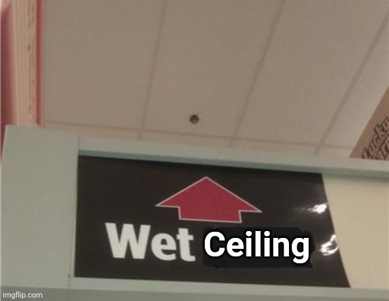 Wet ceiling | Ceiling | image tagged in memes,comment,comments,comment section,ceiling,meme | made w/ Imgflip meme maker