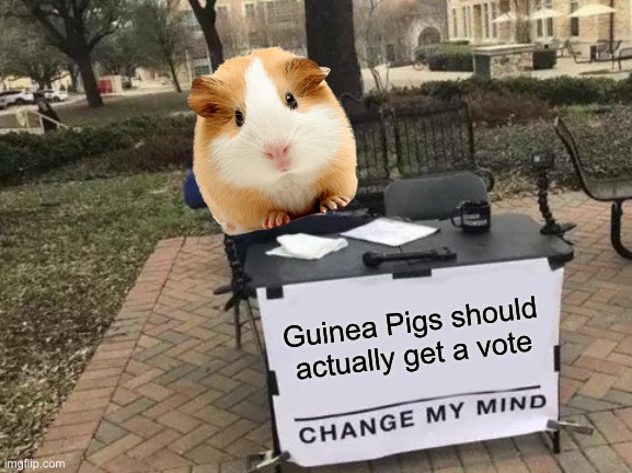 Sqeek for vote | Guinea Pigs should actually get a vote | image tagged in memes,change my mind | made w/ Imgflip meme maker