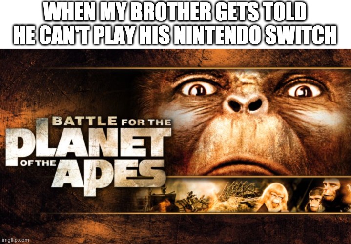 Silly Brother who i will not reveal his name | WHEN MY BROTHER GETS TOLD HE CAN'T PLAY HIS NINTENDO SWITCH | image tagged in planet of the apes,nintendo switch | made w/ Imgflip meme maker
