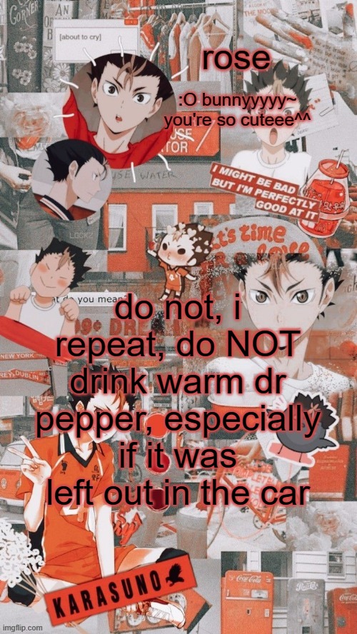 roses nishinoya temp | do not, i repeat, do NOT drink warm dr pepper, especially if it was left out in the car | image tagged in roses nishinoya temp | made w/ Imgflip meme maker