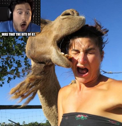 camel bite | WAS THAT THE BITE OF 87. | image tagged in camel bite | made w/ Imgflip meme maker