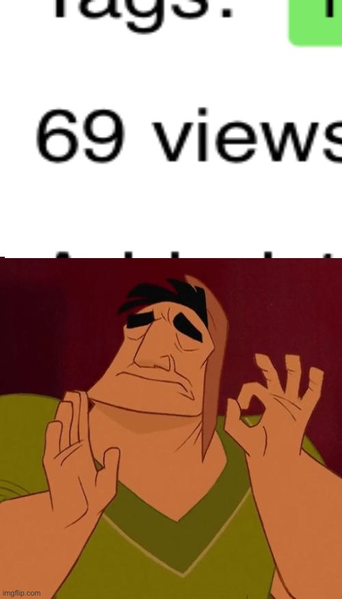 Just perfect | image tagged in when x just right,69,memes,fun | made w/ Imgflip meme maker