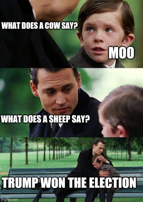 Finding Neverland | WHAT DOES A COW SAY? MOO; WHAT DOES A SHEEP SAY? TRUMP WON THE ELECTION | image tagged in memes,finding neverland | made w/ Imgflip meme maker