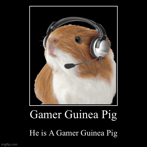Guinea Gamer | image tagged in funny,demotivationals | made w/ Imgflip demotivational maker