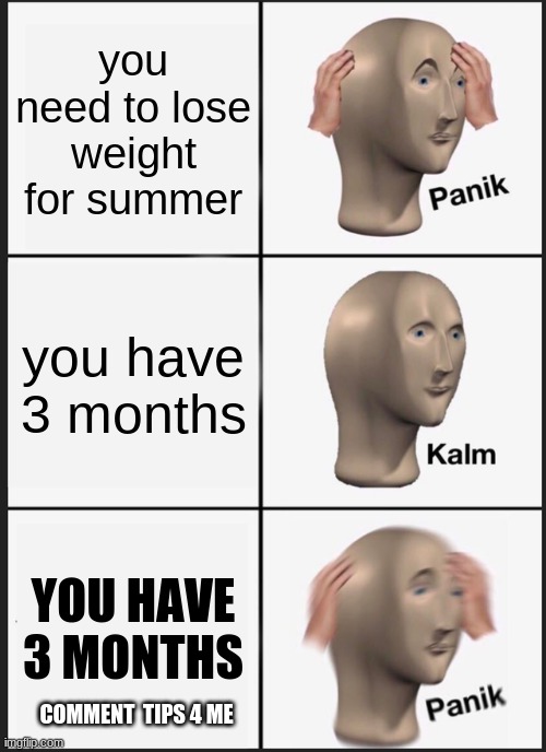 comment tips and ill follow u and upvote 2 memes | you need to lose weight for summer; you have 3 months; YOU HAVE 3 MONTHS; COMMENT  TIPS 4 ME | image tagged in memes,panik kalm panik,weight | made w/ Imgflip meme maker