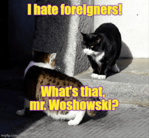 Fun fact: we are all foreigners so 'hating foreigners' is rather stupid | image tagged in foreign policy,border | made w/ Imgflip meme maker