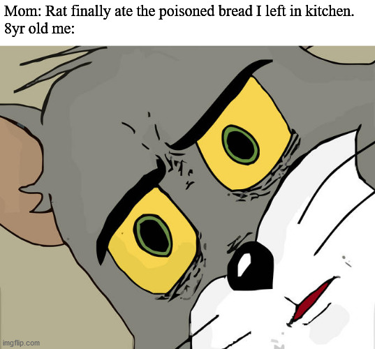 I'm...dead? | Mom: Rat finally ate the poisoned bread I left in kitchen. 
8yr old me: | image tagged in memes,unsettled tom | made w/ Imgflip meme maker