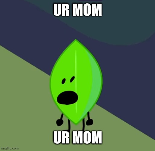 UR MOM | UR MOM; UR MOM | image tagged in surprised leafy | made w/ Imgflip meme maker
