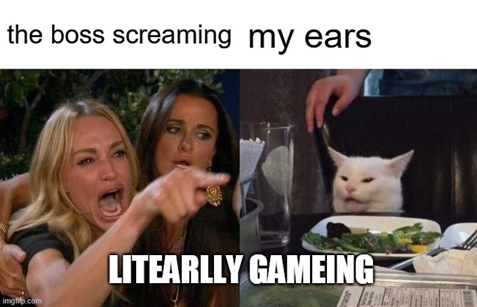 Woman Yelling At Cat | the boss screaming; my ears; LITEARLLY GAMEING | image tagged in memes,woman yelling at cat | made w/ Imgflip meme maker