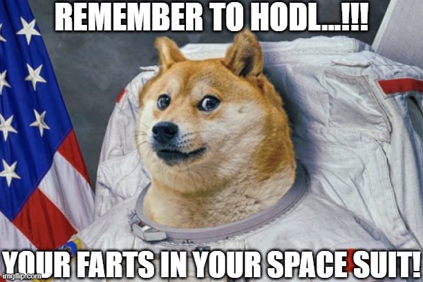 Remember To HODL!!! | REMEMBER TO HODL...!!! YOUR FARTS IN YOUR SPACE SUIT! | image tagged in cryptos ready for lift off | made w/ Imgflip meme maker