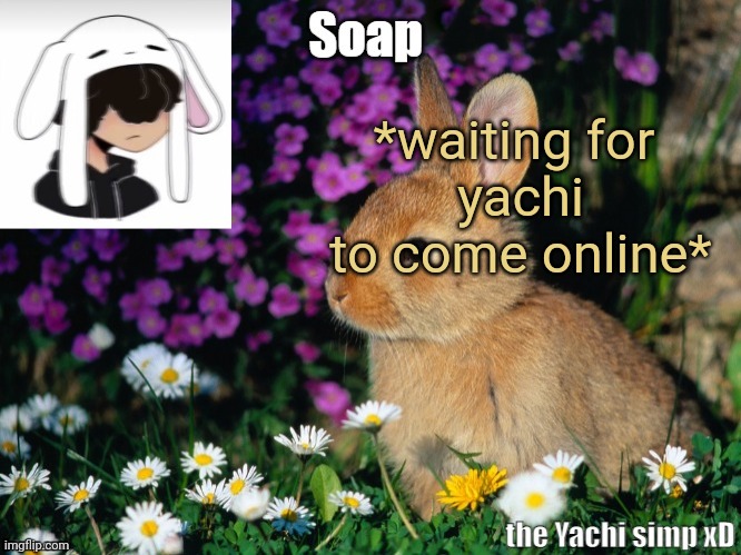 *waiting for 
yachi to come online* | image tagged in soap bunny temp ty yachi 3 | made w/ Imgflip meme maker