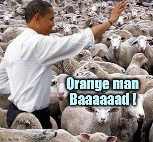 obama sheep | Orange man     
Baaaaaad ! | image tagged in obama sheep | made w/ Imgflip meme maker