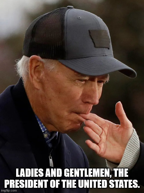 President Puddin Head | LADIES AND GENTLEMEN, THE PRESIDENT OF THE UNITED STATES. | image tagged in idiot,moron,biden | made w/ Imgflip meme maker