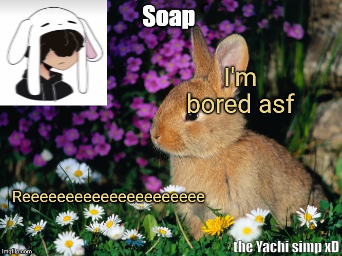 I'm bored asf; Reeeeeeeeeeeeeeeeeeeee | image tagged in soap bunny temp ty yachi 3 | made w/ Imgflip meme maker