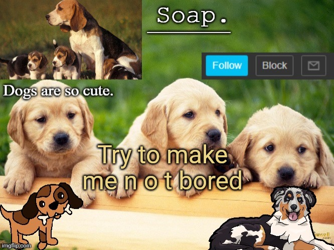 Soap doggo temp | Try to make me n o t bored | image tagged in soap doggo temp ty yachi | made w/ Imgflip meme maker