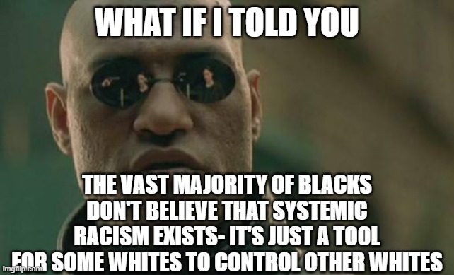 Matrix Morpheus Meme | WHAT IF I TOLD YOU; THE VAST MAJORITY OF BLACKS DON'T BELIEVE THAT SYSTEMIC RACISM EXISTS- IT'S JUST A TOOL FOR SOME WHITES TO CONTROL OTHER WHITES | image tagged in memes,matrix morpheus | made w/ Imgflip meme maker