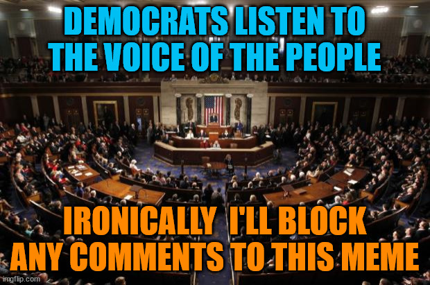 NO COMMENTS???? SCARED???? | DEMOCRATS LISTEN TO THE VOICE OF THE PEOPLE; IRONICALLY  I'LL BLOCK ANY COMMENTS TO THIS MEME | image tagged in congress | made w/ Imgflip meme maker