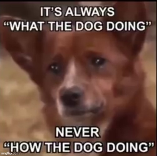 ;-; | image tagged in doggo | made w/ Imgflip meme maker