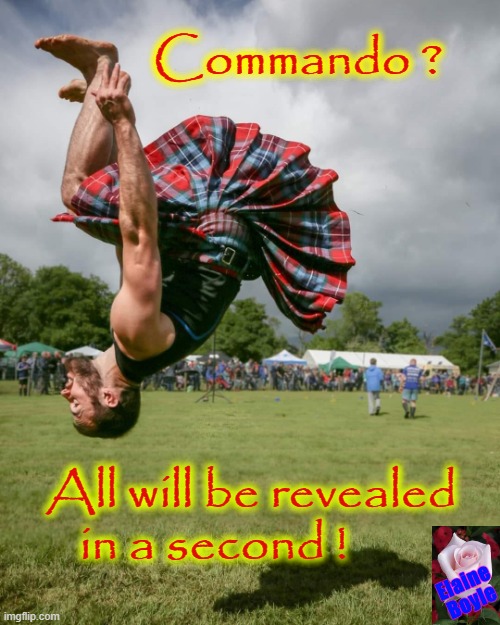 Commando ? | Commando ? All will be revealed
in a second ! | image tagged in reveal | made w/ Imgflip meme maker