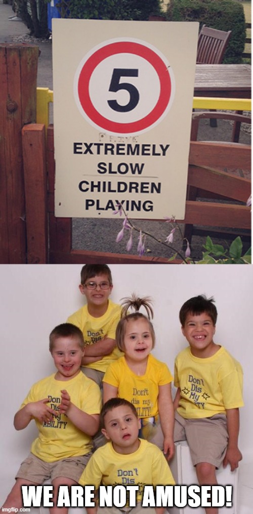 Poor Kids | WE ARE NOT AMUSED! | image tagged in you had one job | made w/ Imgflip meme maker