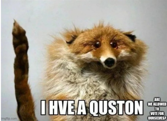 I hve a quston | ARE WE ALLOWED TO VOTE FOR OURSELVES? | image tagged in i hve a quston | made w/ Imgflip meme maker