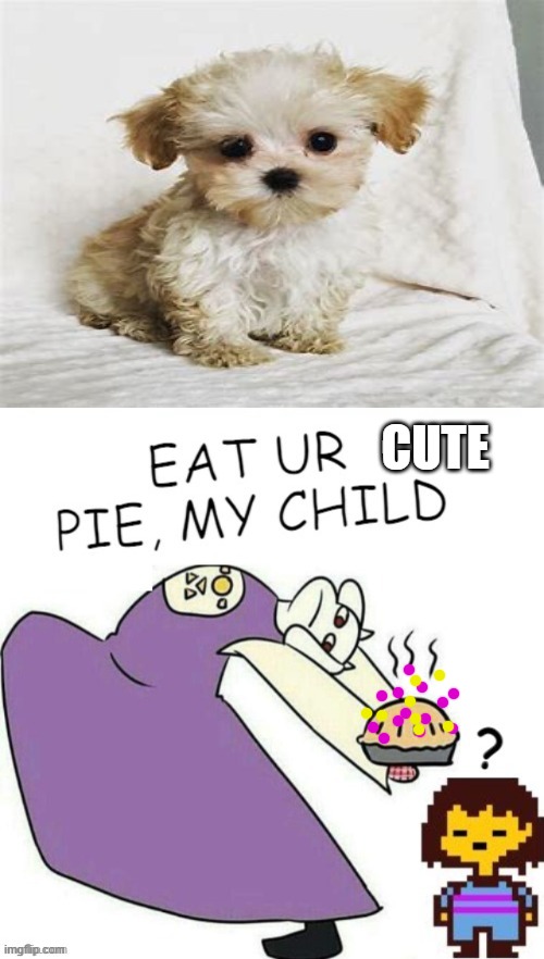 Toriel Makes Pies | CUTE | image tagged in toriel makes pies | made w/ Imgflip meme maker
