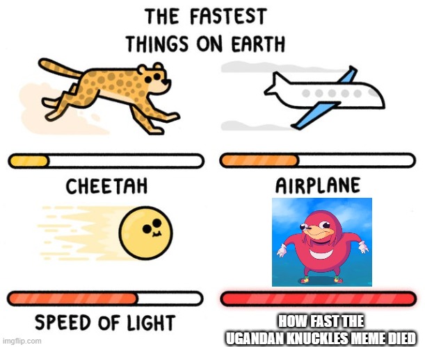 How Fast Ugandan Knuckles Died | HOW FAST THE UGANDAN KNUCKLES MEME DIED | image tagged in fastest thing possible,ugandan knuckles | made w/ Imgflip meme maker