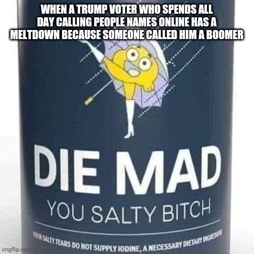 Your tears make me smile | WHEN A TRUMP VOTER WHO SPENDS ALL DAY CALLING PEOPLE NAMES ONLINE HAS A MELTDOWN BECAUSE SOMEONE CALLED HIM A BOOMER | image tagged in politics,trump | made w/ Imgflip meme maker